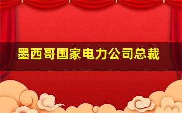 墨西哥国家电力公司总裁