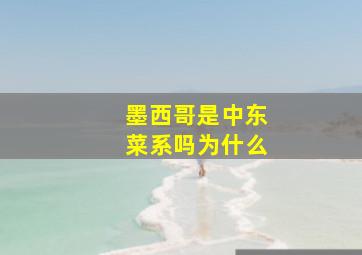 墨西哥是中东菜系吗为什么