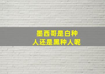 墨西哥是白种人还是黑种人呢