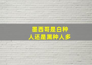 墨西哥是白种人还是黑种人多