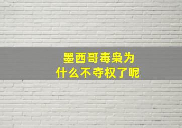 墨西哥毒枭为什么不夺权了呢