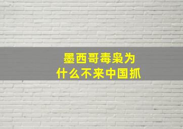 墨西哥毒枭为什么不来中国抓