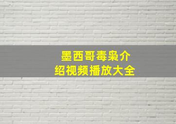 墨西哥毒枭介绍视频播放大全