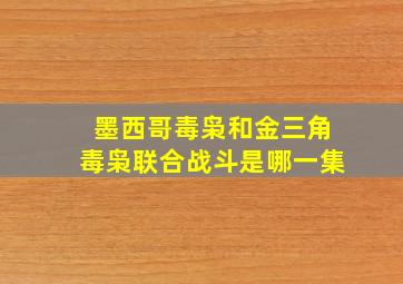 墨西哥毒枭和金三角毒枭联合战斗是哪一集