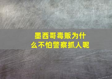 墨西哥毒贩为什么不怕警察抓人呢