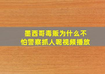 墨西哥毒贩为什么不怕警察抓人呢视频播放