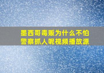 墨西哥毒贩为什么不怕警察抓人呢视频播放源