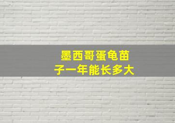 墨西哥蛋龟苗子一年能长多大