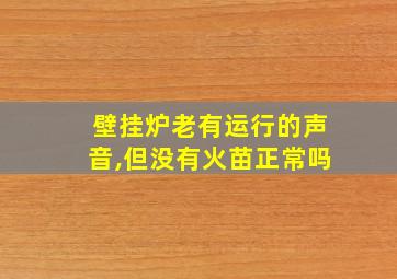 壁挂炉老有运行的声音,但没有火苗正常吗