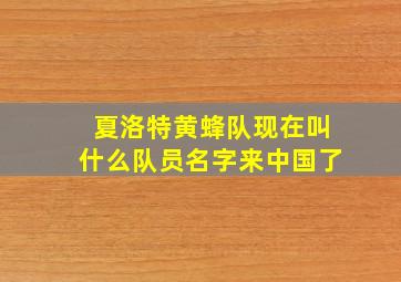 夏洛特黄蜂队现在叫什么队员名字来中国了