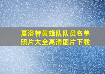 夏洛特黄蜂队队员名单照片大全高清图片下载