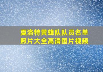 夏洛特黄蜂队队员名单照片大全高清图片视频