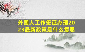 外国人工作签证办理2023最新政策是什么意思