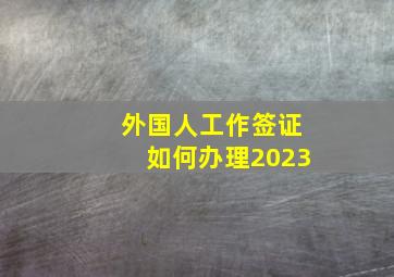 外国人工作签证如何办理2023