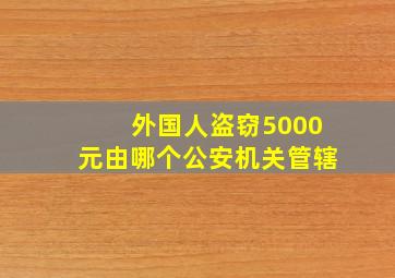 外国人盗窃5000元由哪个公安机关管辖