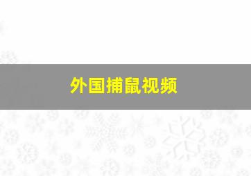 外国捕鼠视频