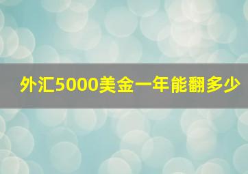 外汇5000美金一年能翻多少