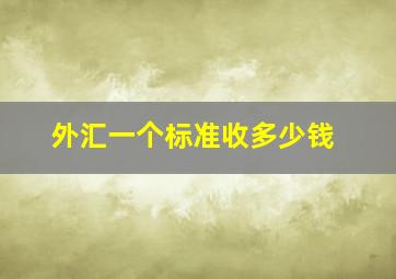 外汇一个标准收多少钱