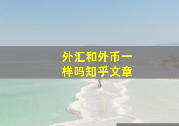 外汇和外币一样吗知乎文章