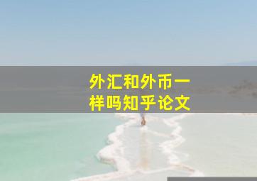 外汇和外币一样吗知乎论文