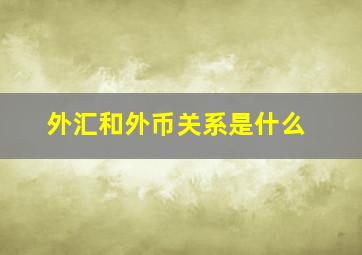 外汇和外币关系是什么