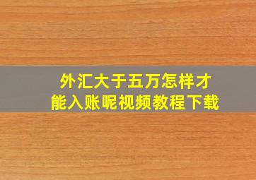 外汇大于五万怎样才能入账呢视频教程下载