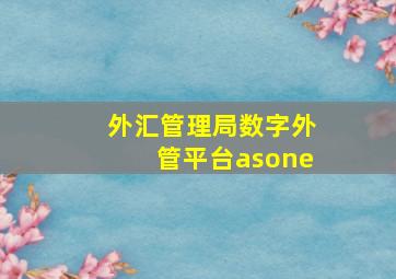 外汇管理局数字外管平台asone