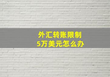 外汇转账限制5万美元怎么办