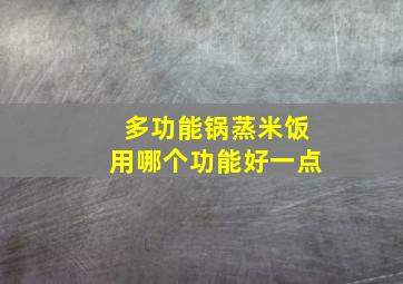 多功能锅蒸米饭用哪个功能好一点