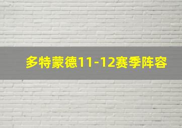 多特蒙德11-12赛季阵容