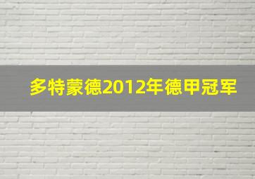 多特蒙德2012年德甲冠军