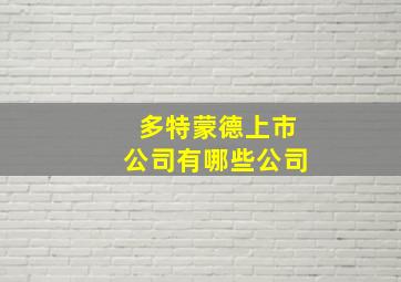 多特蒙德上市公司有哪些公司