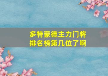 多特蒙德主力门将排名榜第几位了啊