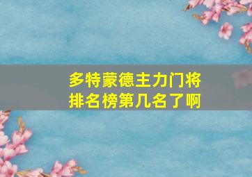 多特蒙德主力门将排名榜第几名了啊