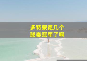 多特蒙德几个联赛冠军了啊