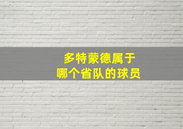 多特蒙德属于哪个省队的球员