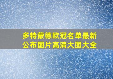 多特蒙德欧冠名单最新公布图片高清大图大全