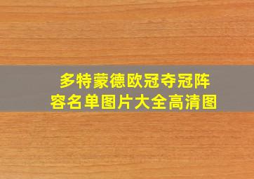 多特蒙德欧冠夺冠阵容名单图片大全高清图