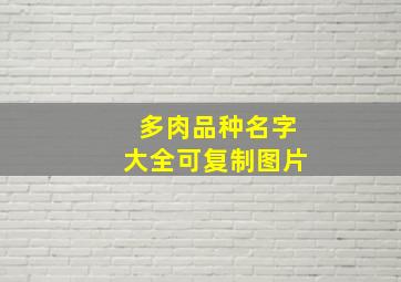 多肉品种名字大全可复制图片