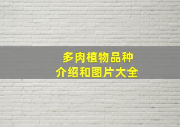 多肉植物品种介绍和图片大全