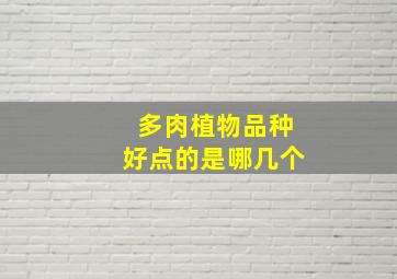 多肉植物品种好点的是哪几个