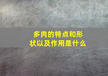 多肉的特点和形状以及作用是什么