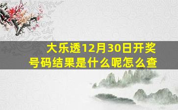 大乐透12月30日开奖号码结果是什么呢怎么查