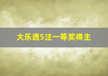 大乐透5注一等奖得主