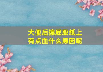 大便后擦屁股纸上有点血什么原因呢