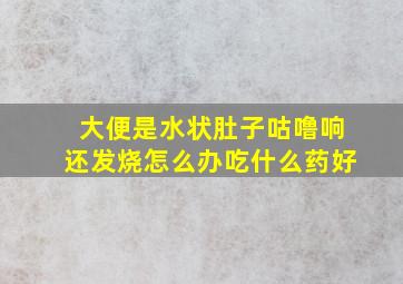 大便是水状肚子咕噜响还发烧怎么办吃什么药好