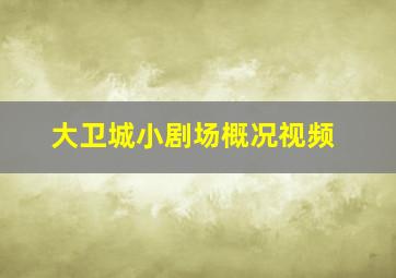 大卫城小剧场概况视频