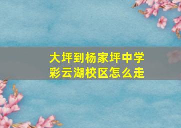 大坪到杨家坪中学彩云湖校区怎么走