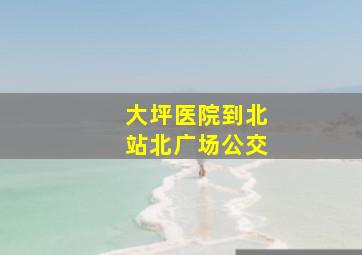 大坪医院到北站北广场公交