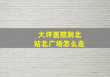 大坪医院到北站北广场怎么走